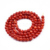 Natural Freshwater Shell Beads Strands SHEL-N026-205C-01-2