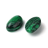 Synthetic Malachite Cabochons G-A094-01A-41-2