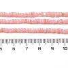 Natural Freshwater Shell Beads Strands SHEL-P017-01B-09-4
