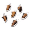 Natural Tiger Eye Pendants G-O176E-08P-1