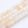 Natural Freshwater Shell Bead Strands X-SHEL-S253-01-1