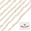 Beebeecraft 2 Strands Natural Cultured Freshwater Pearl Beads Strands PEAR-BBC0001-18-1