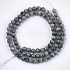 Natural Hawk's Eye Beads Strands G-S333-6mm-034-2