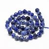 Natural Sodalite Beads Strands G-R448-10mm-09-2