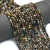 Natural Larvikite Beads Strands G-A260-A23-01-1