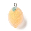 Fruit Theme Flocking Opaque Resin Pendants LS-RESI-D017-04C-P-1