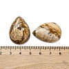 Natural Picture Jasper Cabochons G-B085-03B-10-3