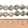 Natural Green Spot Jasper Beads Strands G-F833-B05-01-4
