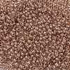 TOHO Round Seed Beads X-SEED-TR08-1067-2