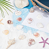 40Pcs Natural Scallop Shell Beads SSHEL-SP0001-02-4