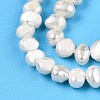 Natural Cultured Freshwater Pearl Beads Strands PEAR-N014-03C-4