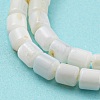 Natural Freshwater Shell Beads Strands SHEL-F008-04A-4