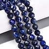 Natural Lapis Lazuli Beads Strands G-S345-8mm-24-2