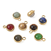 Fashewelry 8Pcs 8 Styles Natural Gemstone Pendants G-FW0001-29-2