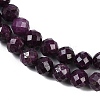 Natural Ruby Beads Strands G-P553-G01-05-4