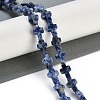 Natural Blue Spot Jasper Beads Strands G-I369-A03-01-2