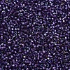 MIYUKI Delica Beads SEED-X0054-DB1756-3
