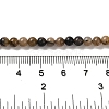 Natural Chiastolite Beads Strands G-Q161-A03-01-5