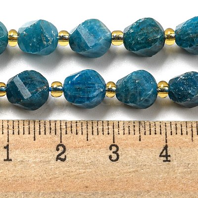 Natural Apatite Beads Strands G-M443-B06-02-1