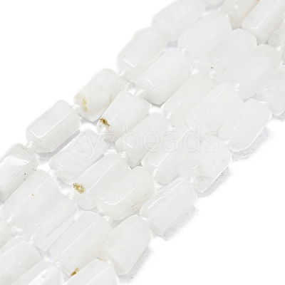 Natural Rainbow Moonstone Beads Strands G-O170-121-1