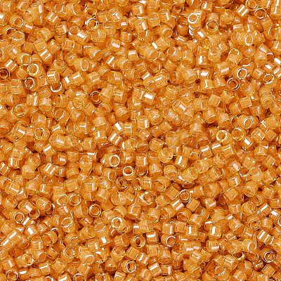 MIYUKI Delica Beads X-SEED-J020-DB2045-1