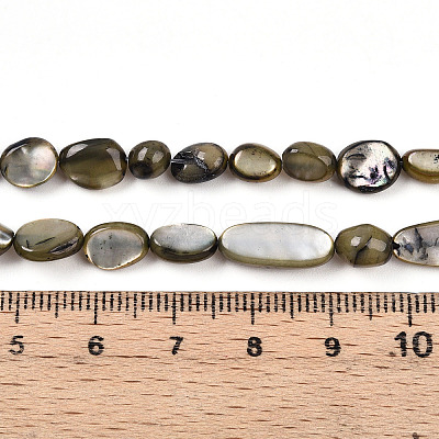 Natural White Shell Beads Strands SHEL-N036-21-1