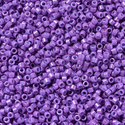 MIYUKI Delica Beads X-SEED-J020-DB0660-1
