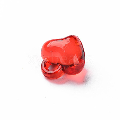Transparent Acrylic Pendants X-MACR-N013-035-1
