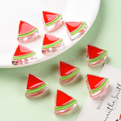Transparent Enamel Acrylic Beads TACR-S155-001F-1