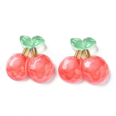 Resin Cabochons CRES-J046-03F-1
