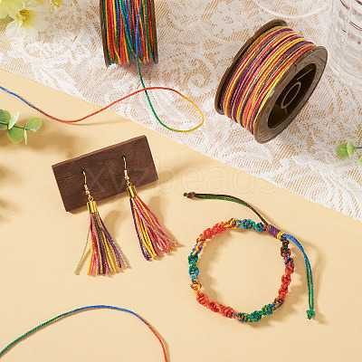 2 Rolls 2 Colors Segment Dyed Round Polyester Twisted Cords OCOR-TA0003-59E-1