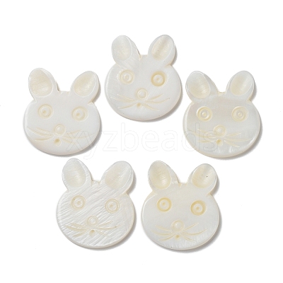 Natural Freshwater Shell Beads BSHE-P033-12-1