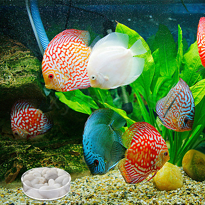 8Pcs 2 Style Transparent Acrylic Aquarium Shrimp Feeding Dishes AJEW-GO0001-01-1