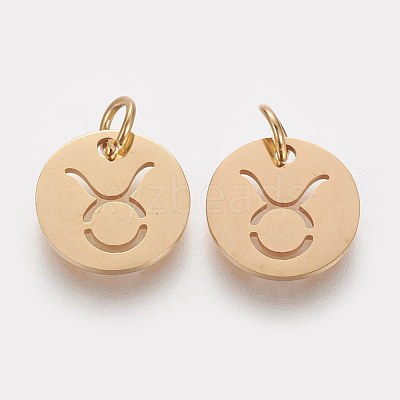 304 Stainless Steel Charms STAS-Q201-T445-2G-1