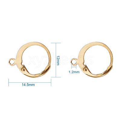 304 Stainless Steel Leverback Earring Findings STAS-G081-62G-1
