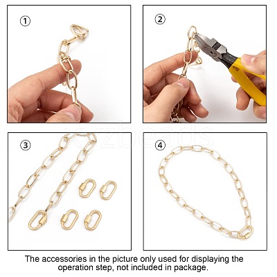 Brass Screw Carabiner Lock Charms ZIRC-G160-11G-1