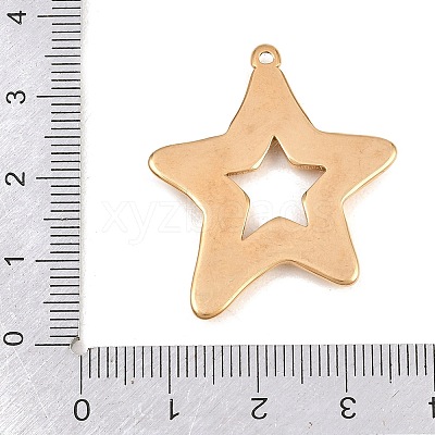 304 Stainless Steel Pendants STAS-B144-02G-1