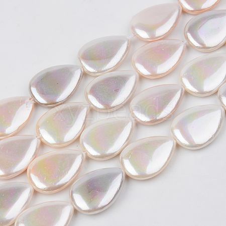 Electroplate Natural Freshwater Shell Beads Strands X-SHEL-R049-026B-1