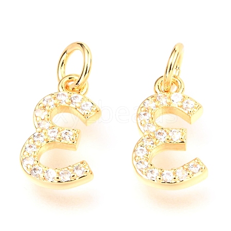 Brass Micro Pave Cubic Zirconia Charms ZIRC-O037-02G-1