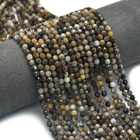 Natural Larvikite Beads Strands G-A260-A23-01-1