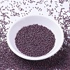 MIYUKI Delica Beads SEED-X0054-DB1012-2