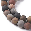 Natural Ocean Jasper Beads Strands G-F668-27-8mm-3