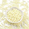 Baking Paint Glass Seed Beads SEED-A032-02I-2