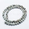 Natural Sesame Jasper/Kiwi Jasper Beads Strands X-G-I199-29-4mm-2