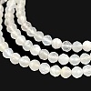 Natural White Moonstone Beads Strands G-Z058-A01-01-4