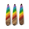 Pride Rainbow Theme Resin & Walnut Wood Pendants WOOD-K012-05A-1