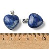 Natural Lapis Lazuli Pendants G-F820-10A-07-3