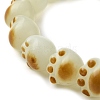 Cat Paw Print Natural Bodhi Root Beaded Stretch Bracelet BJEW-TA00457-3