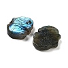 Natural Labradorite Carved Cabochons G-C152-11-2