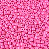 Opaque Baking Paint Glass Seed Beads SEED-T008-02I-3